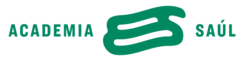 Academia Saúl
